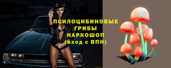 прущие грибы Алексин