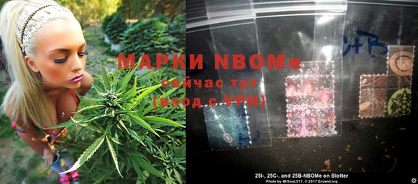 прущие грибы Алексин