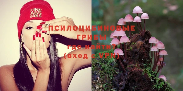 дурь Алзамай