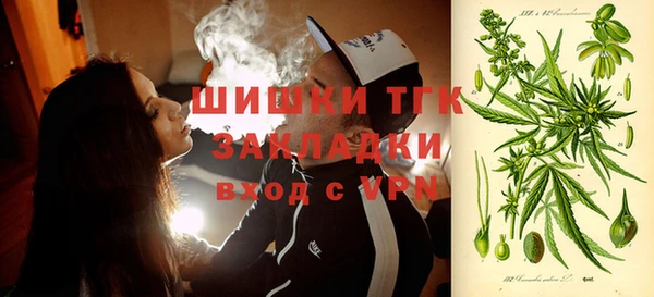 дурь Алзамай