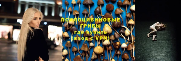 прущие грибы Алексин