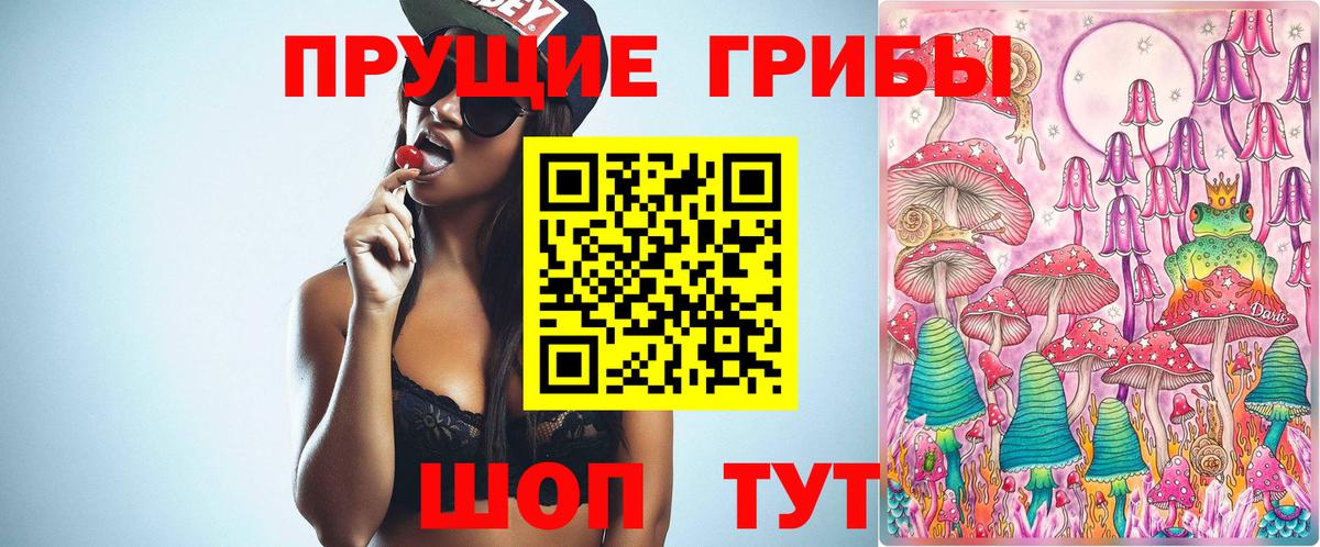 Сочи  Галлюциногенные грибы Psilocybine cubensis  Галлюциногенные грибы мицелий  Вход с VPN 